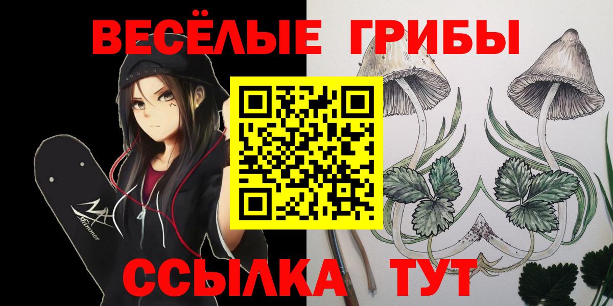 Красногорск  Псилоцибиновые грибы MAGIC MUSHROOMS  Вход с VPN 